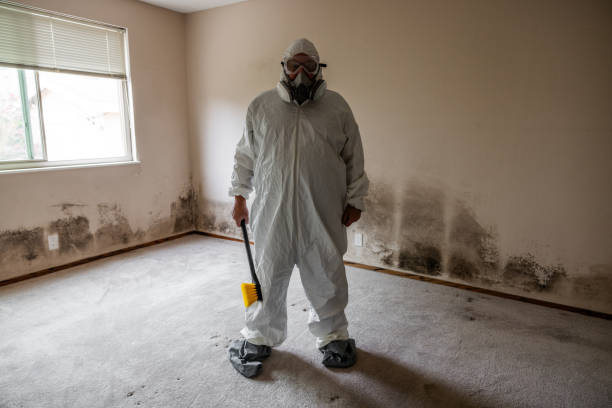 Best Mold Damage Repair  in East Troy, WI